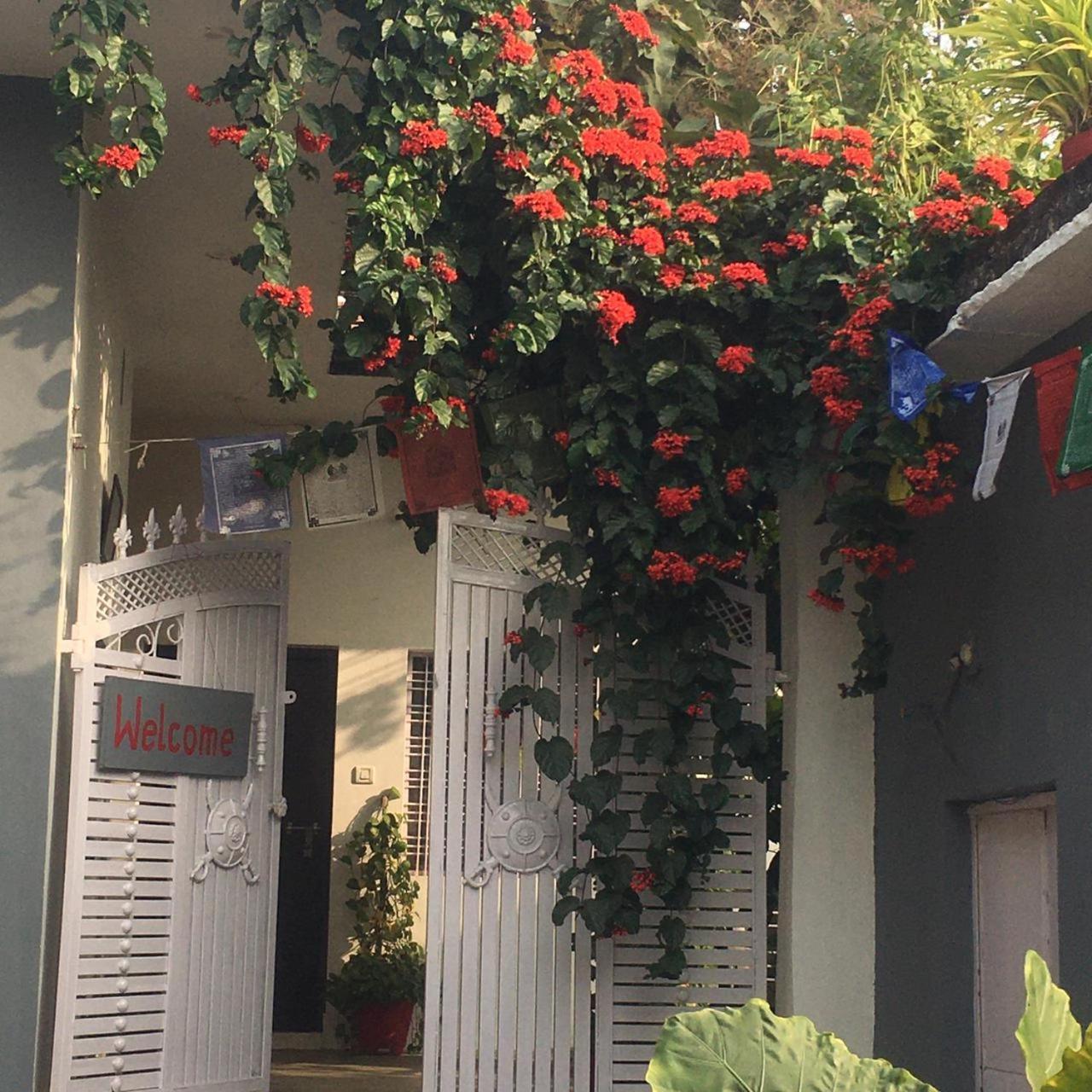 The Highvill Home Stay Khajuraho Exterior photo